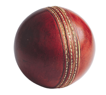 Cricket in your pocket